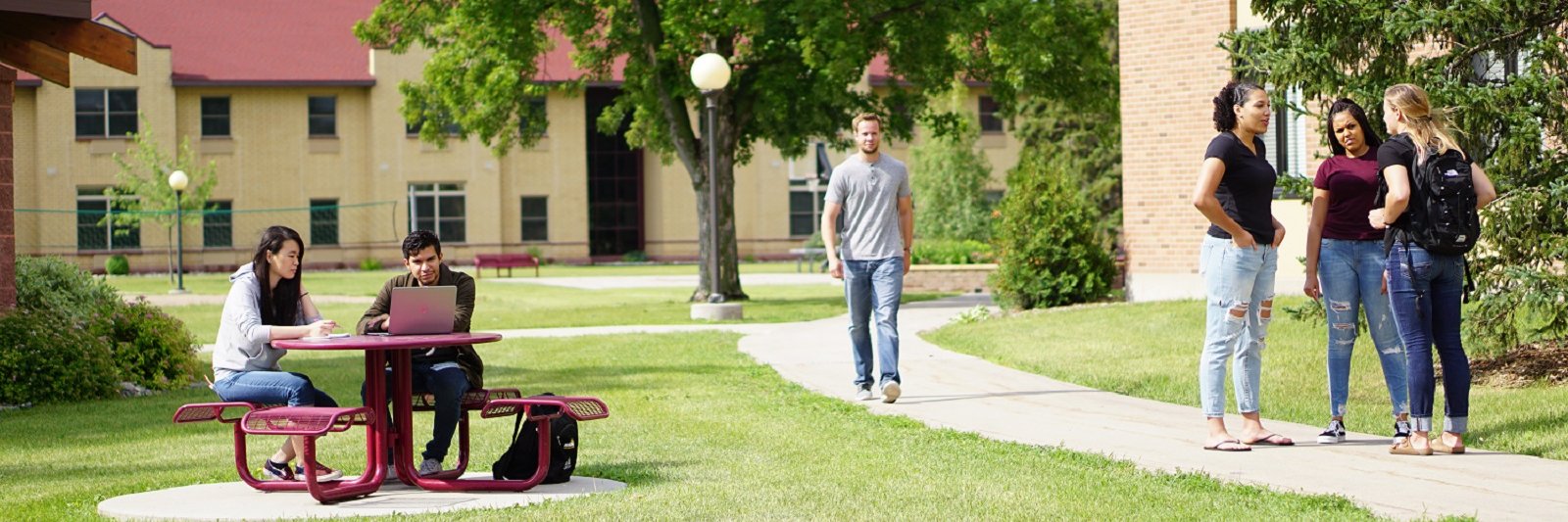 UMCadmissions's profile banner image