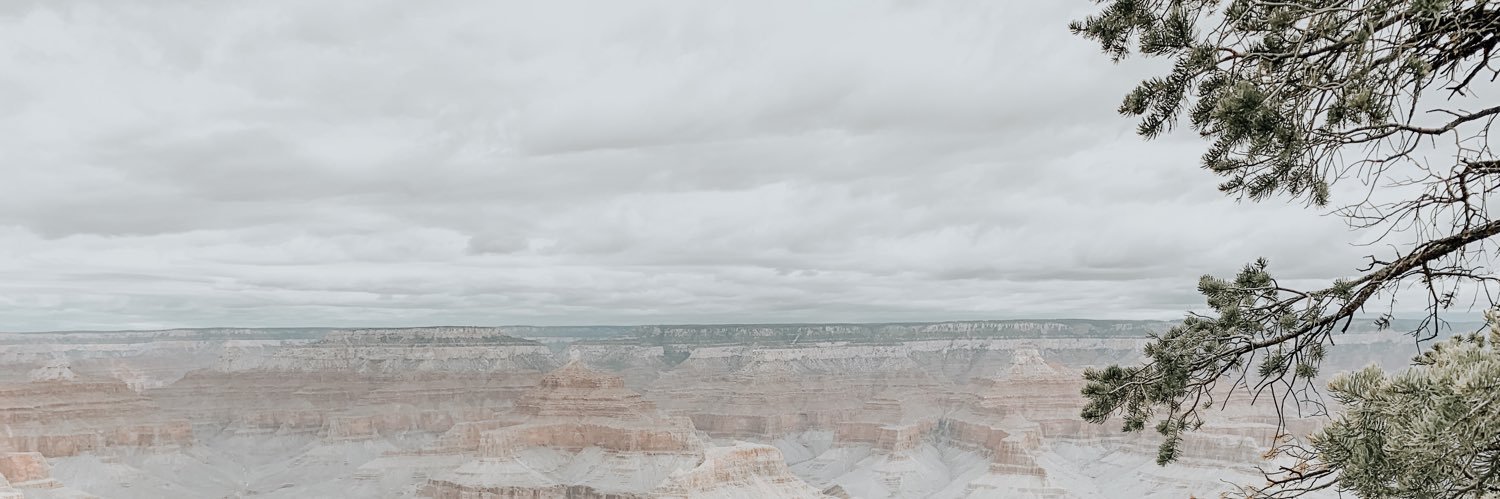 sarahxmillss's profile banner image