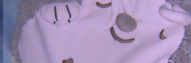_jau5_'s profile banner image