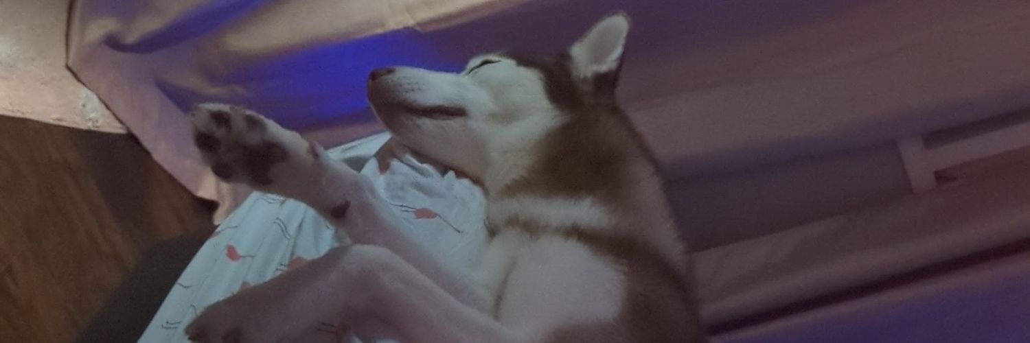 Michisama808's profile banner image