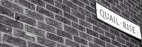 JackQuail2's profile banner image