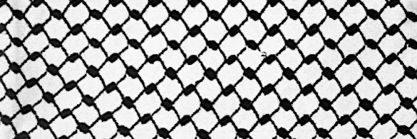 theradiodept's profile banner image