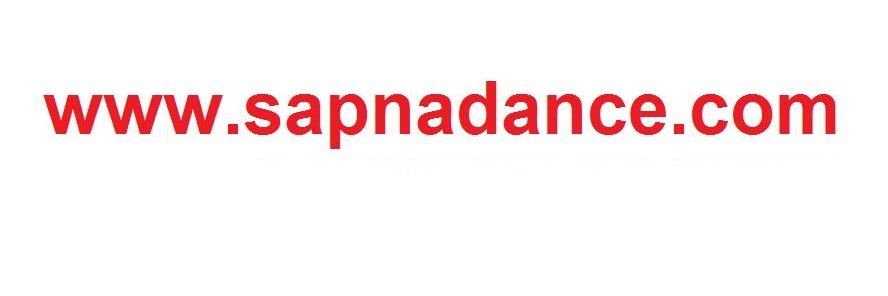 sapnavideos's profile banner image