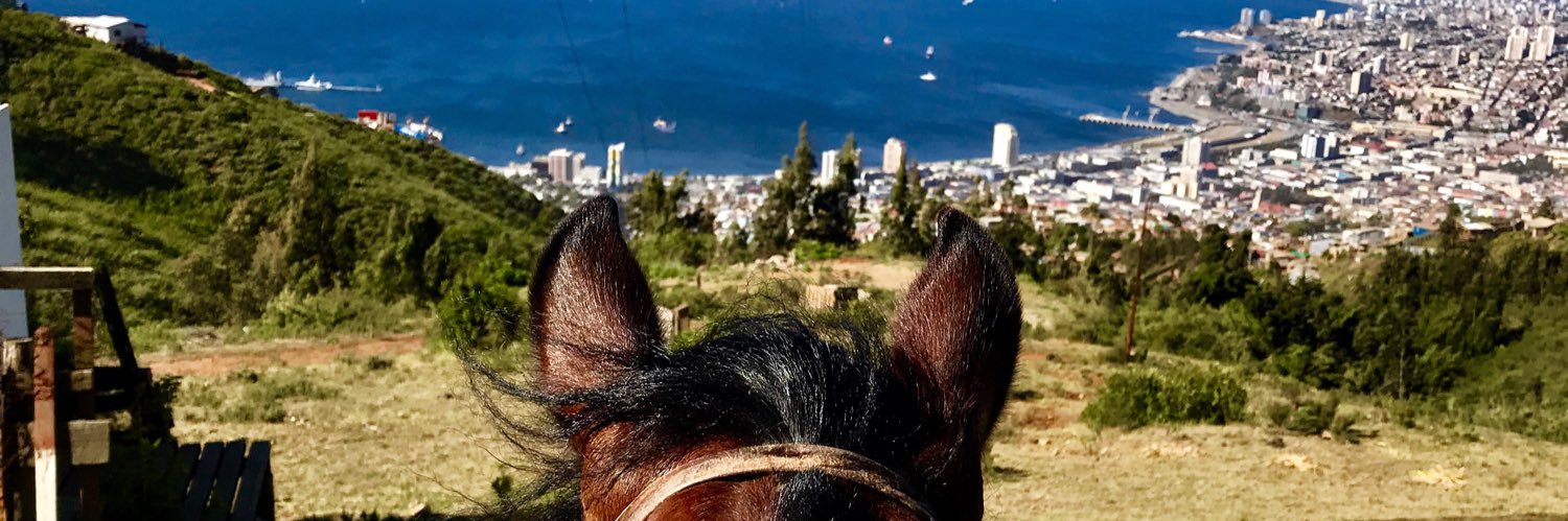 CaamiQ's profile banner image