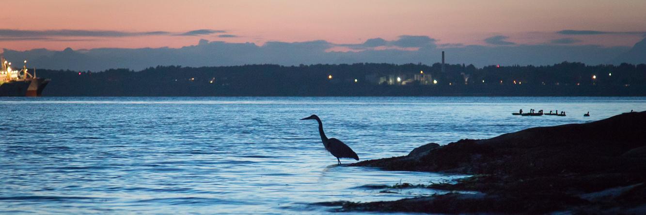 Michael Kleven banner