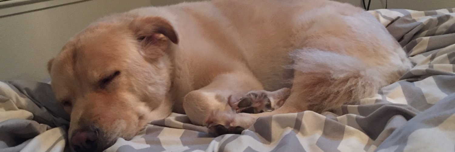 MarissaRacquel's profile banner image