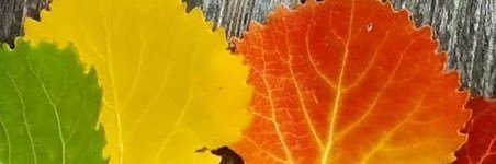 aLmkLc's profile banner image