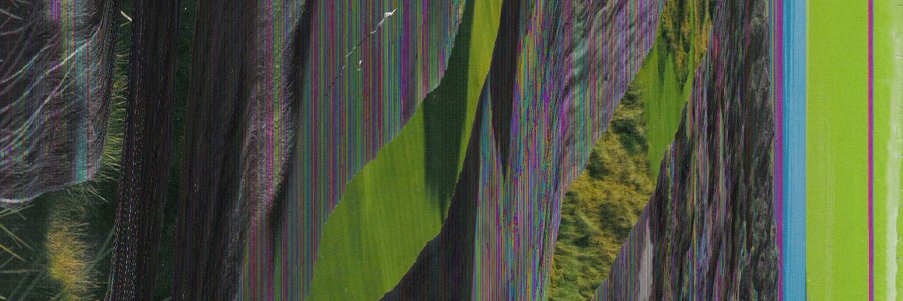 ____dale's profile banner image