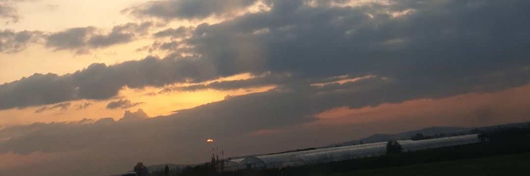 cesarapaa_'s profile banner image