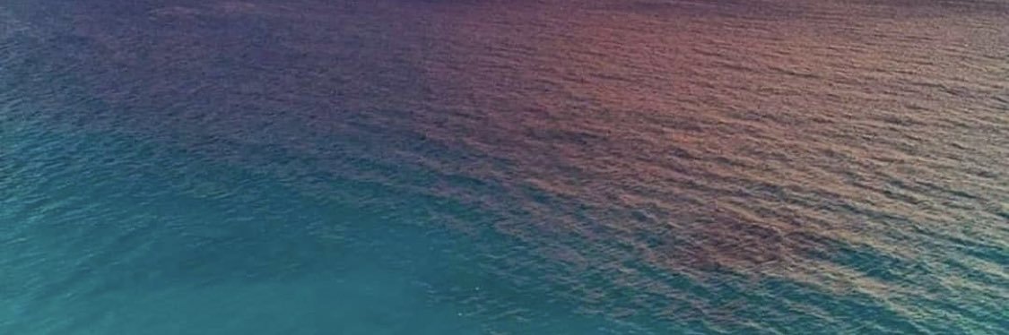 WWCSBootcamp's profile banner image