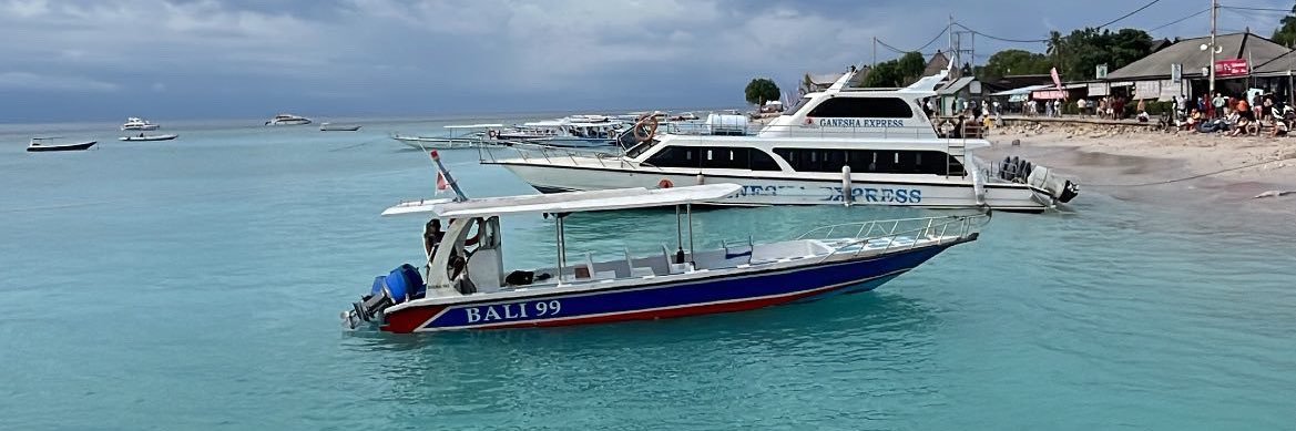 𝑪𝒂𝒏𝒅𝒊𝒄𝒆 banner