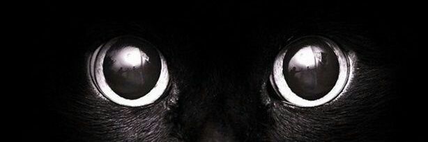 matiasserrano97's profile banner image