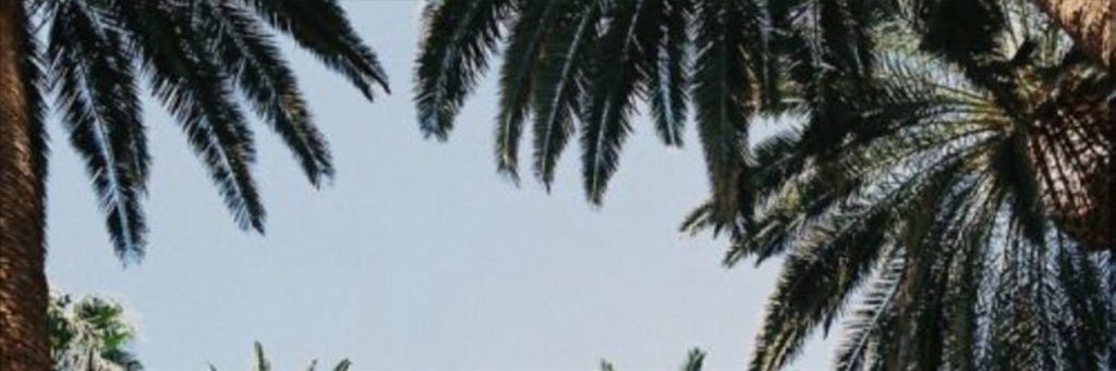 HeallyLife's profile banner image