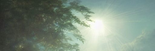 mainwhale_'s profile banner image