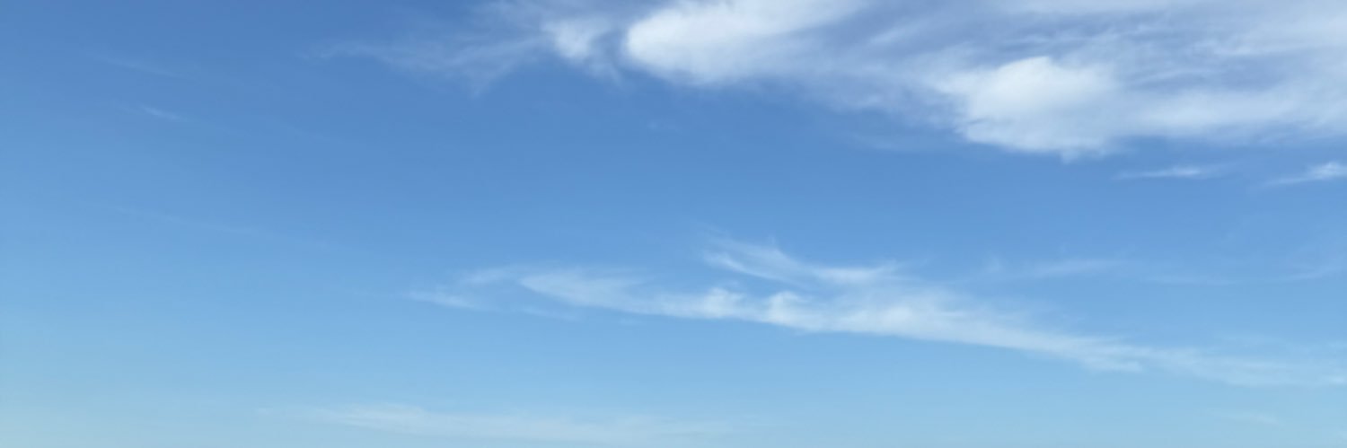 el banner