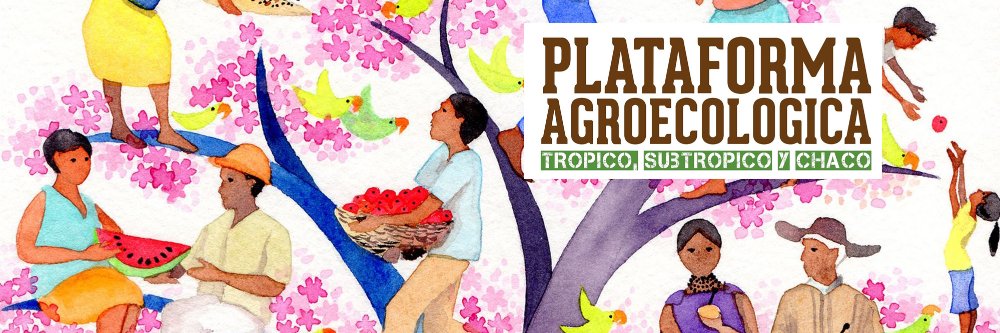 EcoSelloBolivia's profile banner image