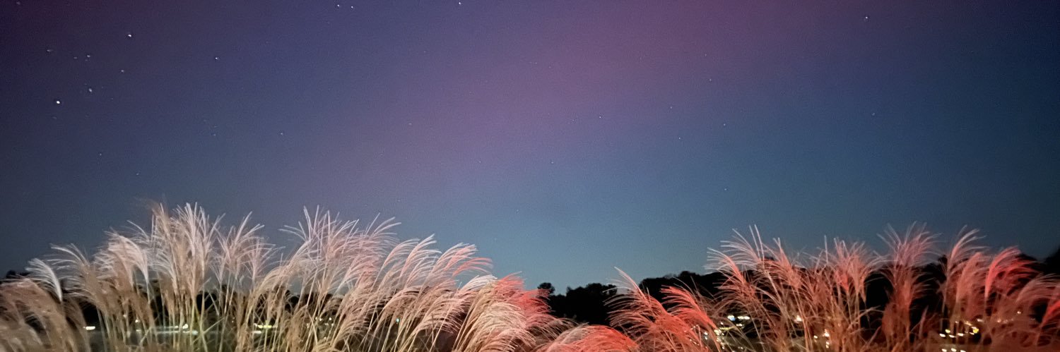 halestormx22's profile banner image