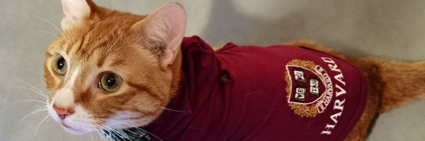 FerranFeceCruz Profile Banner