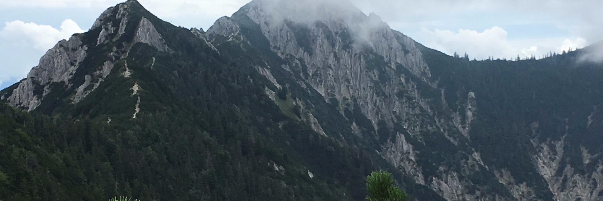 Maximilian Bosch banner