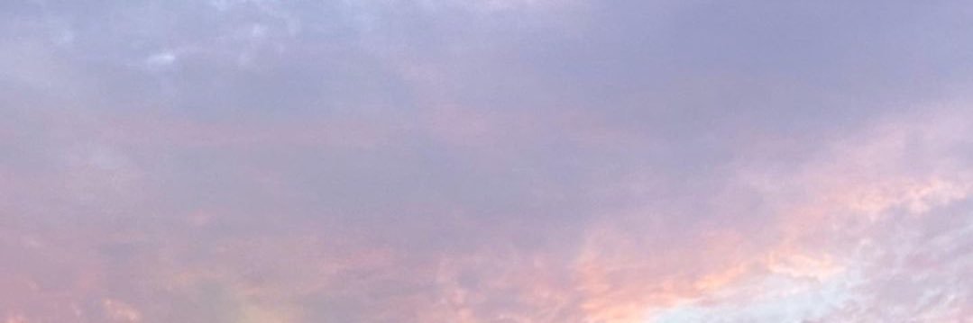 ʚ🧸 셔누방 🧸ɞ banner