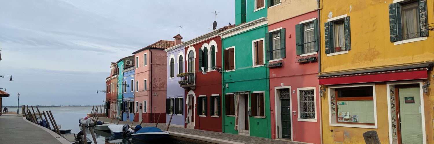 Sarah Lyon 💙 banner