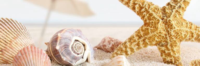 Linda Bystrek 🍎 banner