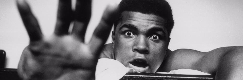 FightDiscovery 👊🏾 banner