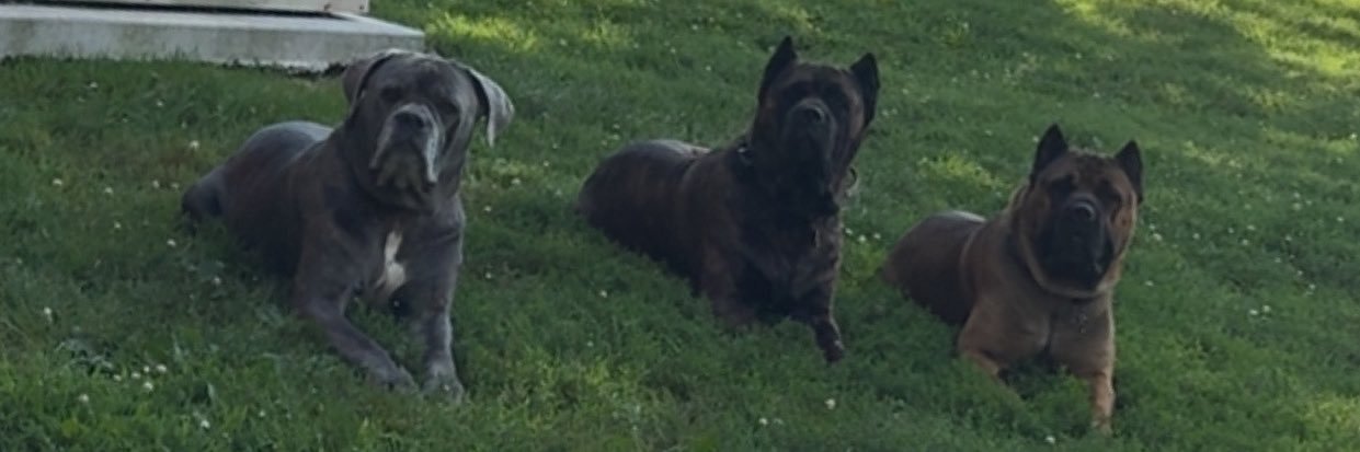MDiFilippo84's profile banner image