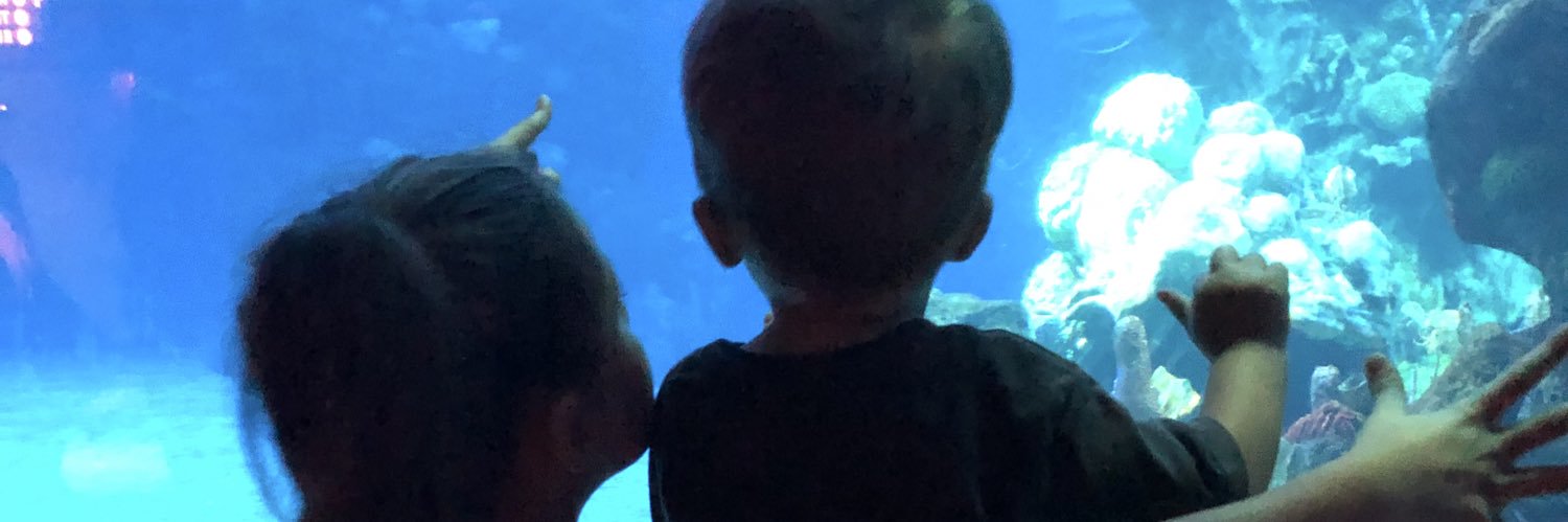 missterese82's profile banner image