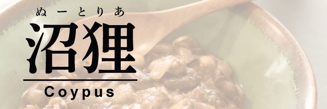ヌーちゃん@高市早苗新首相デイヨイヨ日本終了ノオ知ラセDeath。 banner