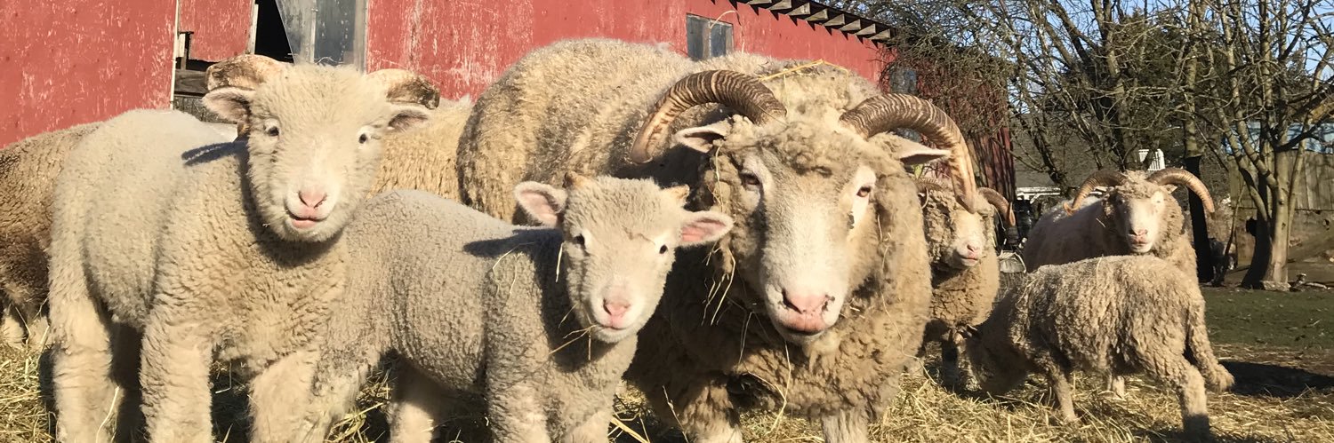 Matthew 🇨🇦 banner