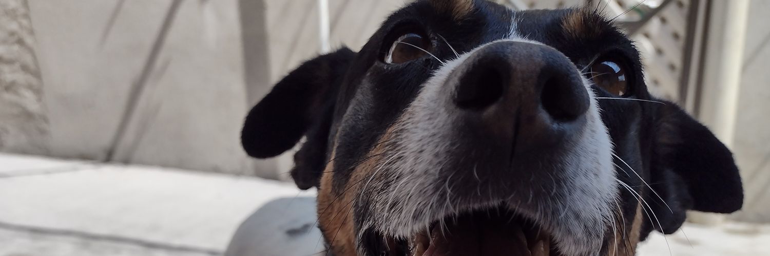 Javo_N's profile banner image