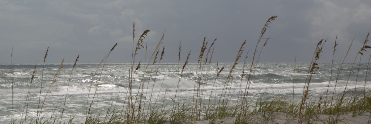 Shutter8ug's profile banner image