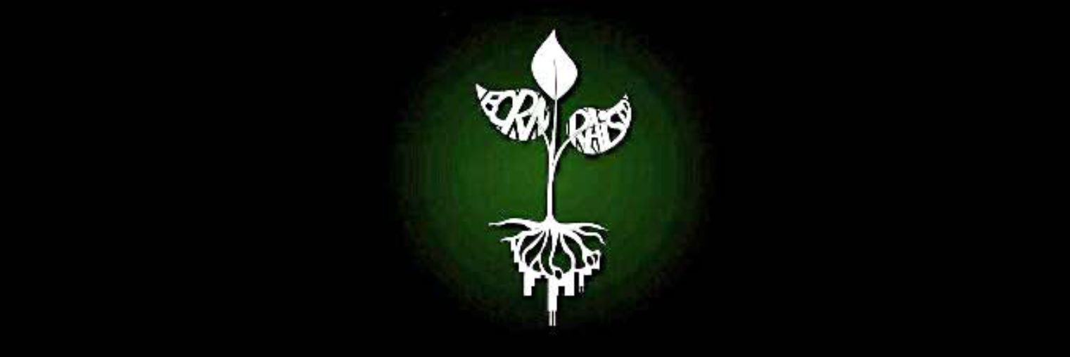 BornRaisedChi's profile banner image