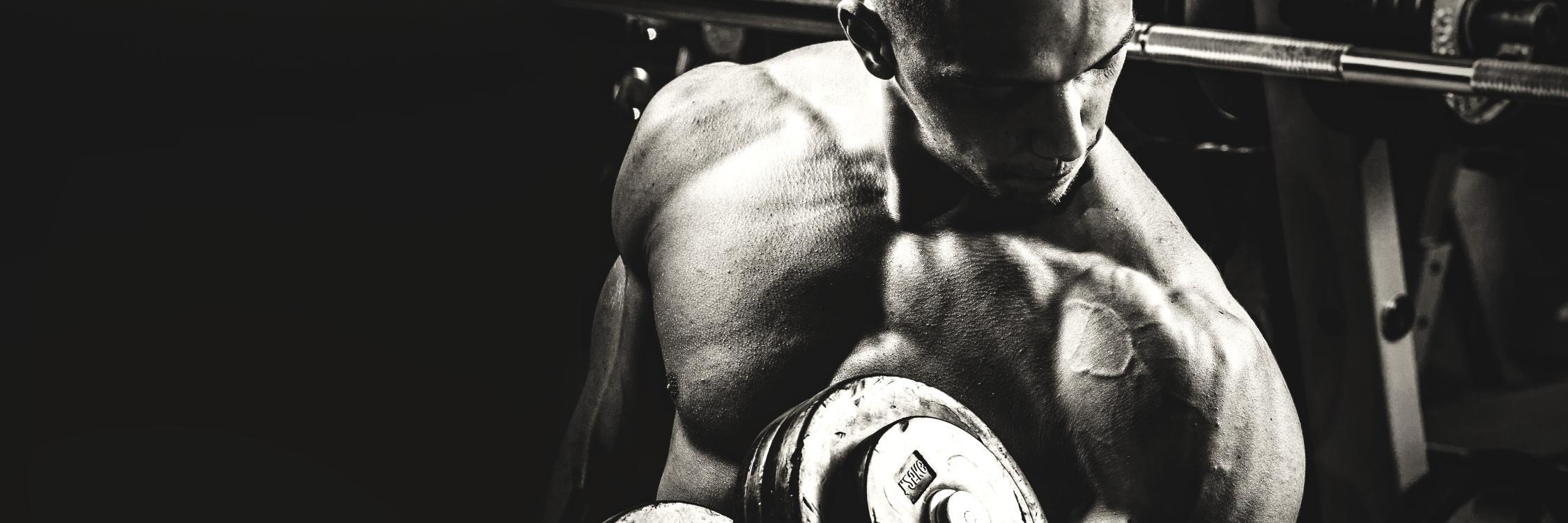 SuppFusion's profile banner image