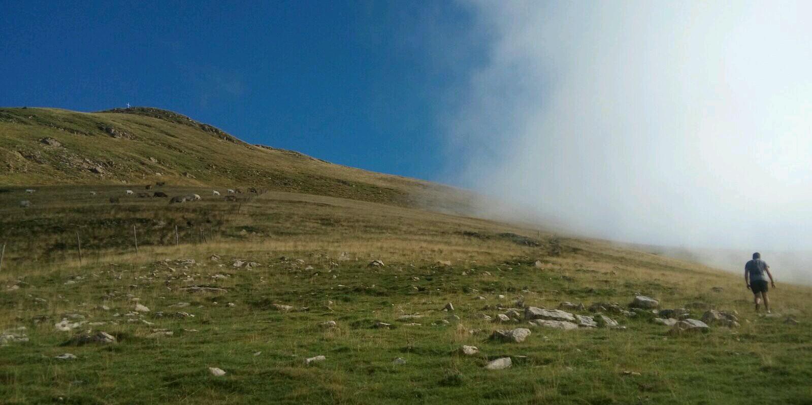 Aitor Carmona banner