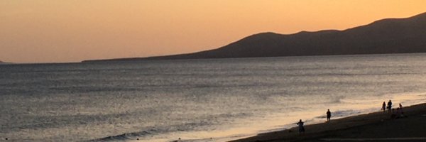 bertieostrich Profile Banner