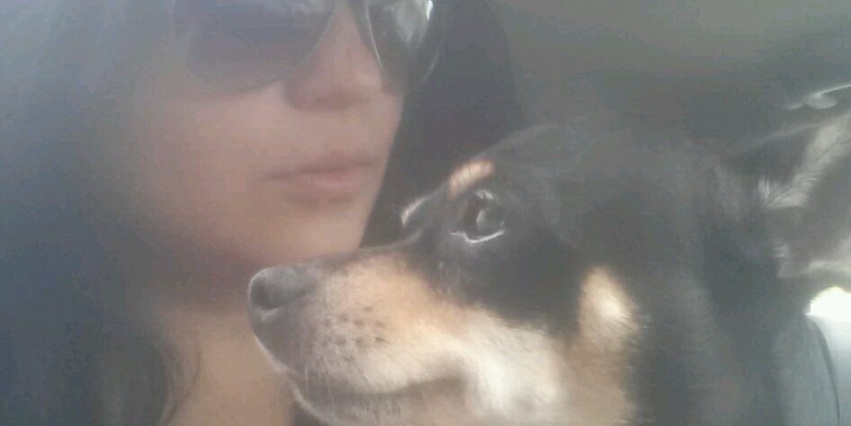 ninabacciga's profile banner image