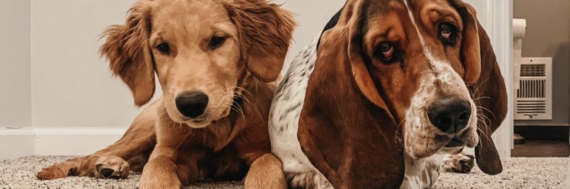 ____BrittanyM's profile banner image
