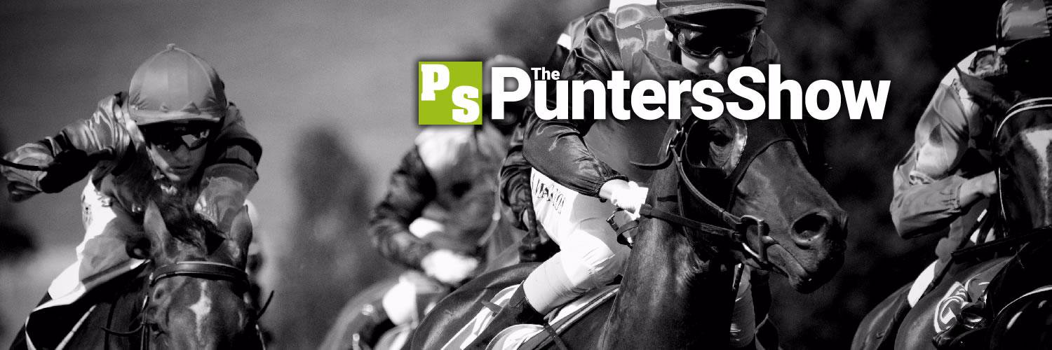 Puntersshow's profile banner image