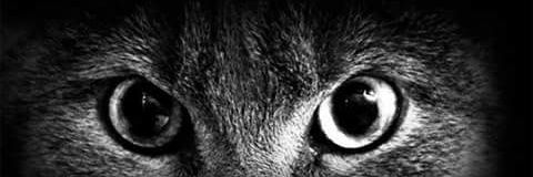 mrmouser35's profile banner image