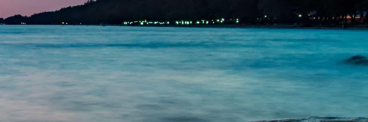 sehamsabee's profile banner image