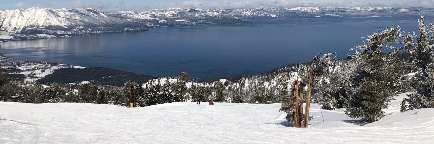 shandyfed's profile banner image