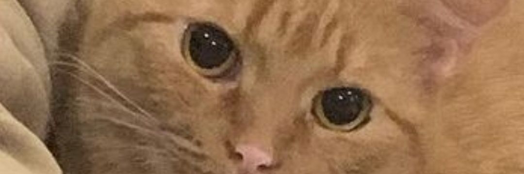 roomtemp_fanta's profile banner image