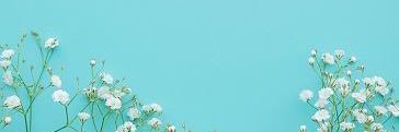 snow_supika's profile banner image