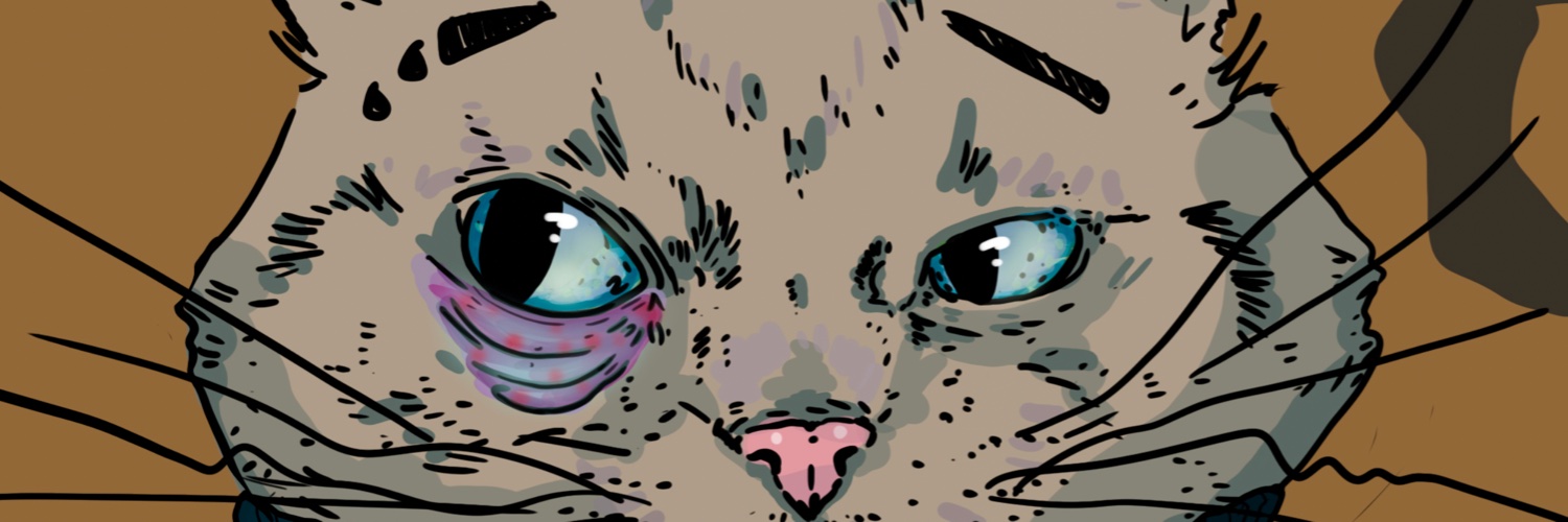 jay_mnx's profile banner image