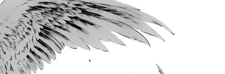 谭, Tara. banner