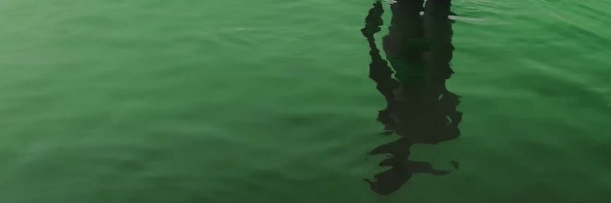 sevlanauj's profile banner image
