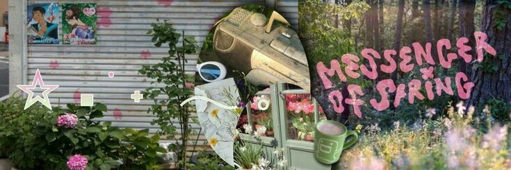 gmeovv's profile banner image