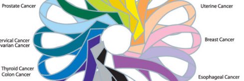 Eavila_RG's profile banner image